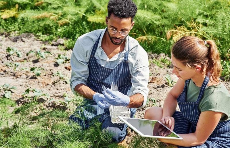 Horticulture student on work placement in outdoor field observing plants with teacher